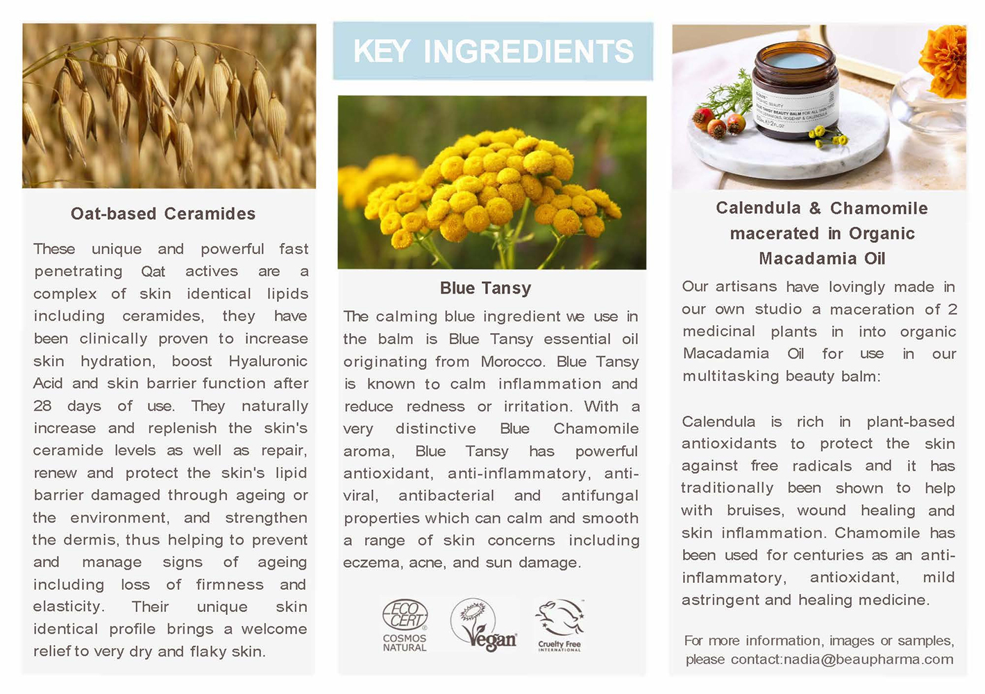 Blue Tansy Beauty Balm - Evolve Beauty - vegan verzorging | tAK